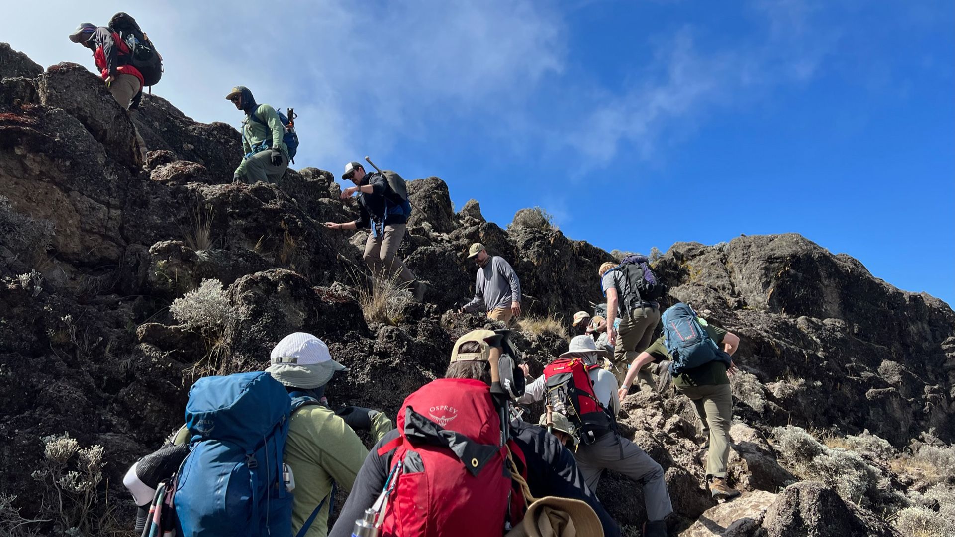 2022 Trek Team Climbing Kilimanjaro