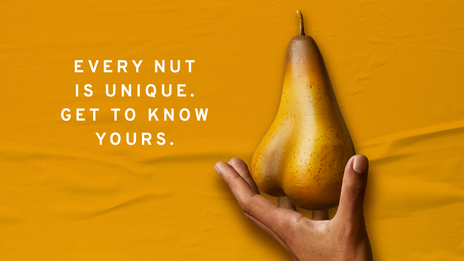 Know Thy Nuts  Everything you need to know about testicular cancer -  Movember