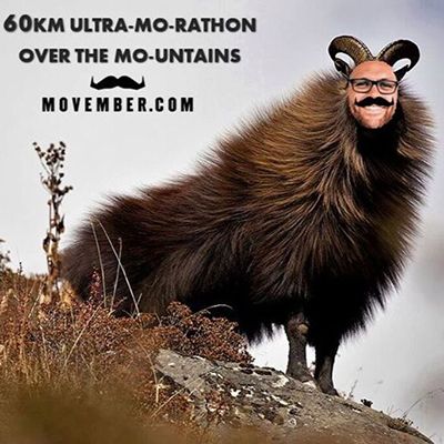 Digitally manipulated image of a mountain goat with a man's head. Superimposed test reads: "60km ultra-Mo-rathon over the Mo-untains.""