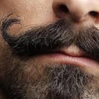 Movember - Home